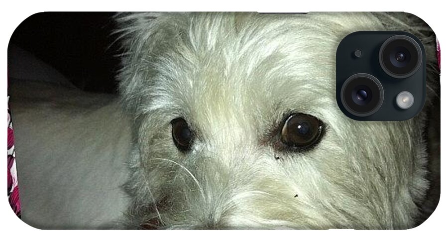  iPhone Case featuring the photograph This Is My Haley Girl. I Miss Her by Rhonda L