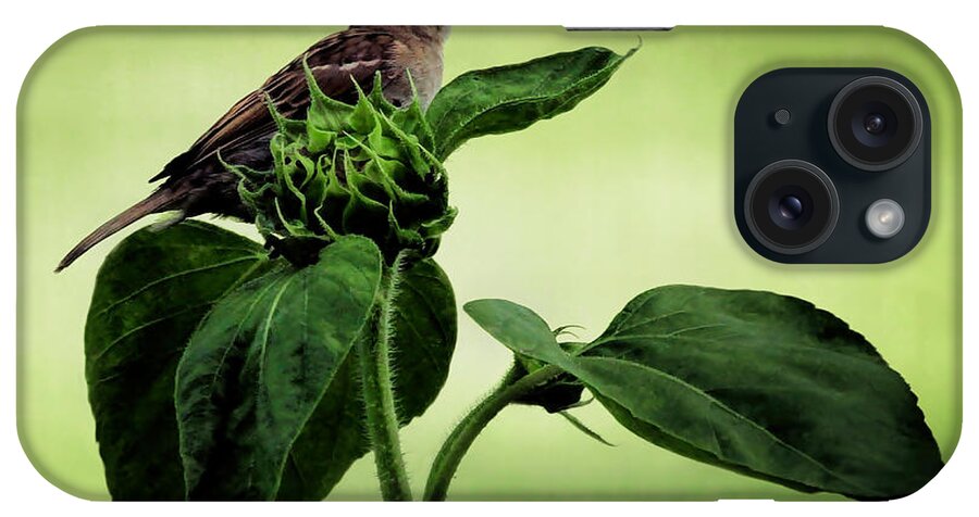 Bird iPhone 15 Case featuring the photograph Thoughtful Sparrow by Lucy VanSwearingen