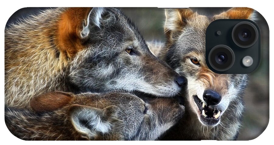 Red Wolf iPhone Case featuring the photograph Three Bad Wolves by Steve McKinzie