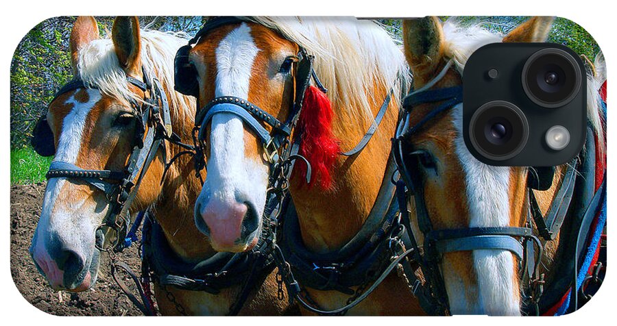 Draft iPhone Case featuring the photograph Three Horses Break Time by Tom Jelen