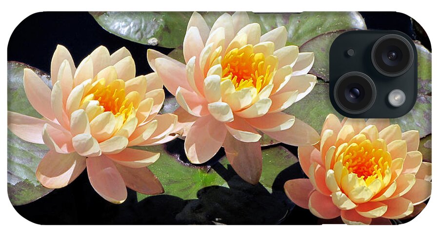 Water iPhone Case featuring the photograph Three Lilies by Bob Slitzan