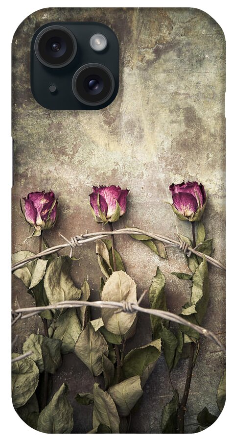 Abstract iPhone Case featuring the photograph Three roses and barbed wire by Maria Heyens