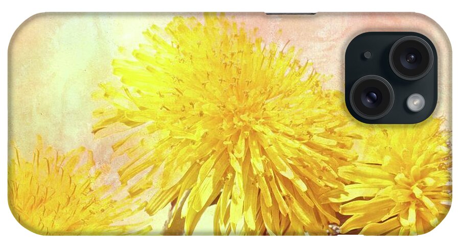 Flowers iPhone Case featuring the photograph Three Simple Things by Bob Orsillo