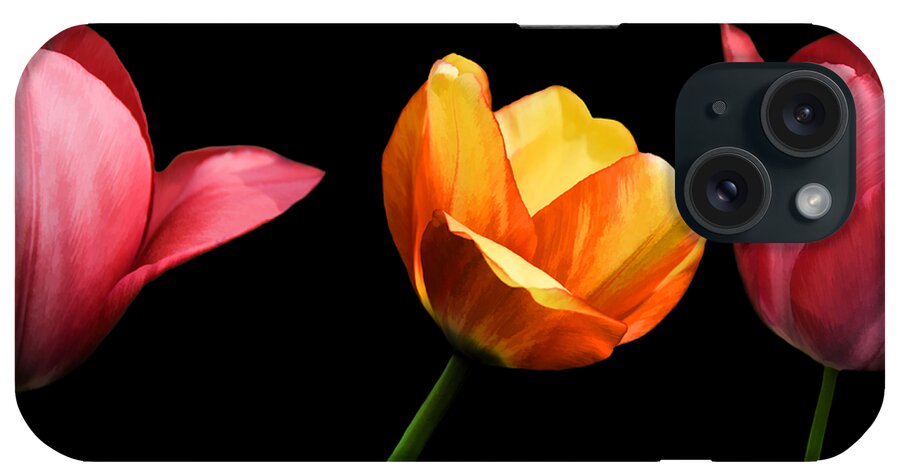 Petals iPhone Case featuring the photograph Spring Tulips by Steven Michael