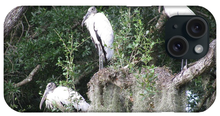 Landscape iPhone Case featuring the photograph Three Wood Storks by Ellen Meakin