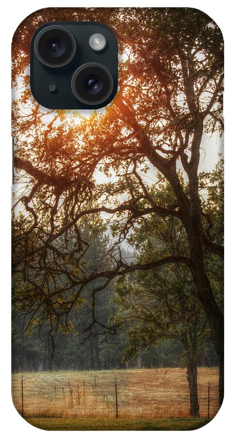 Sunset iPhone Case featuring the photograph Through the Trees by Melanie Lankford Photography