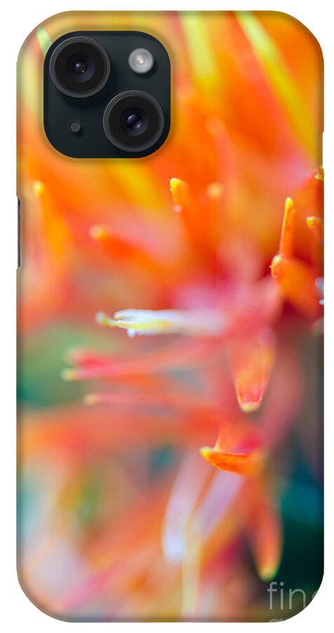 Abstract iPhone Case featuring the photograph Tie-Dye by Tamara Becker