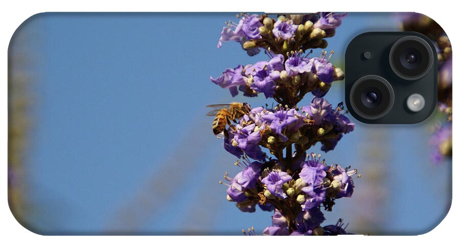Bee iPhone Case featuring the photograph Tiers To Climb by Linda Shafer