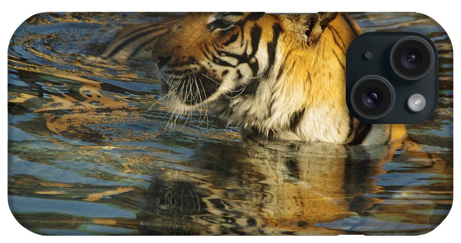 Lions Tigers And Bears iPhone Case featuring the photograph Tiger 3 by Phyllis Spoor