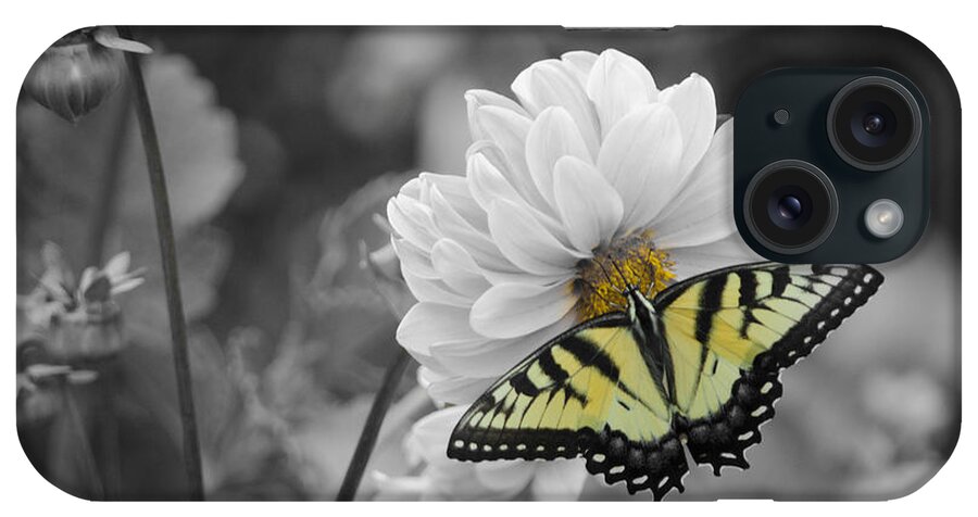 Tiger Butterfly iPhone Case featuring the photograph Tiger Butterfly by GeeLeesa Productions