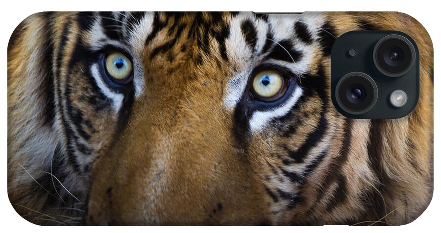 Tiger iPhone Case featuring the photograph Tiger close-up by SAURAVphoto Online Store