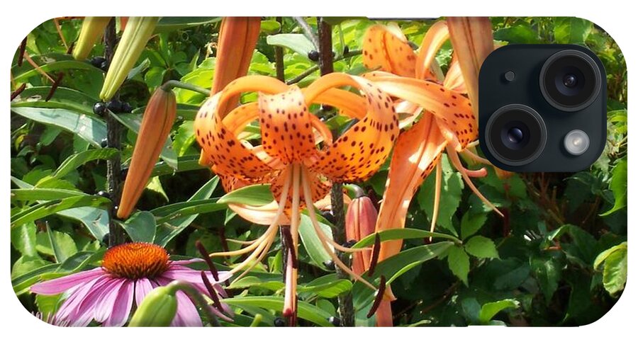 Tiger Lily iPhone Case featuring the photograph Tiger Lilies by Catherine Gagne