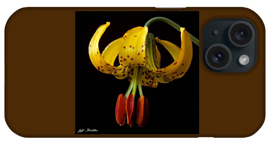 Beauty In Nature iPhone Case featuring the photograph Tiger Lily by Jeff Goulden