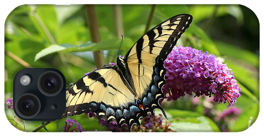 Nature iPhone Case featuring the photograph Tiger Swallowtail on Butterfly Bush by William Selander