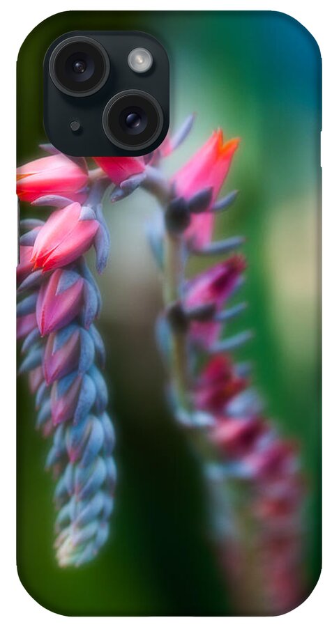 Flower iPhone Case featuring the photograph Tiny Beauty by Sebastian Musial