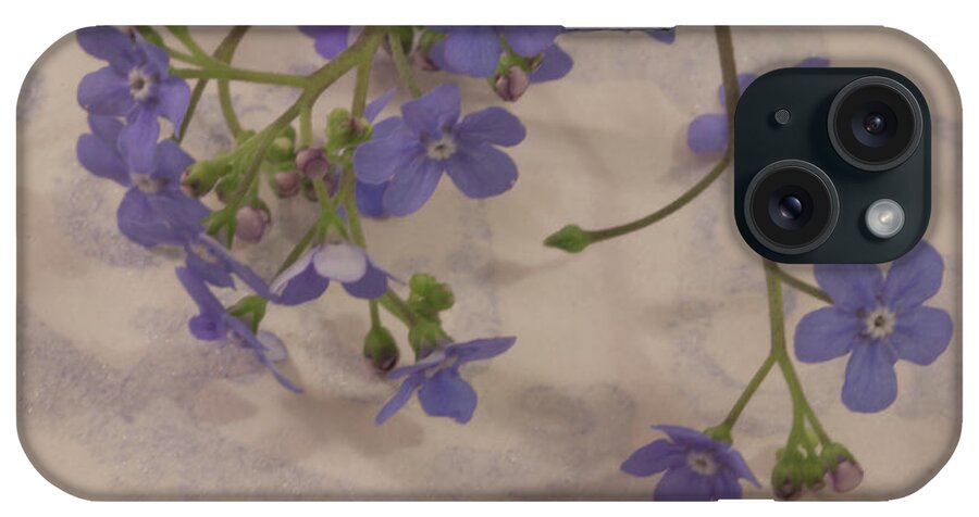 Tiny Blue Flowers iPhone Case featuring the photograph Tiny Blue by Sandra Foster