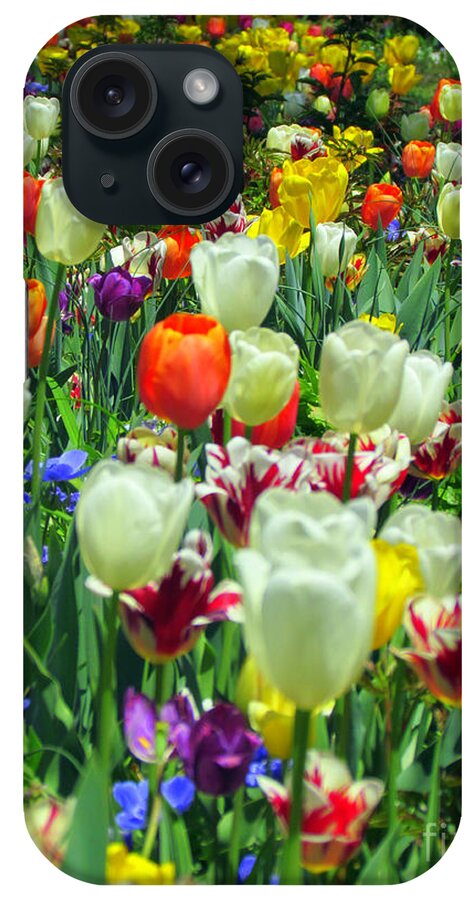Elizabeth Dow iPhone Case featuring the photograph Tiptoe Through The Tulips by Elizabeth Dow