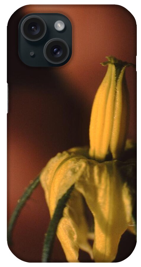 Retro Images Archive iPhone Case featuring the photograph Tomato Blossom by Retro Images Archive