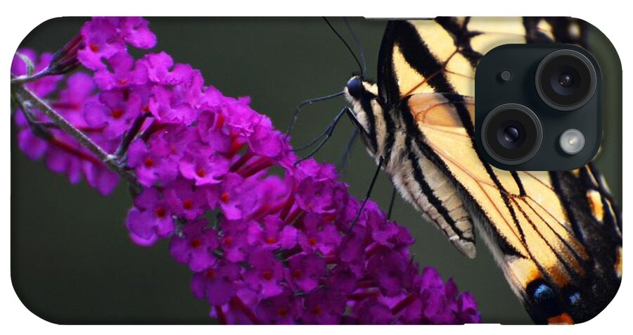 Butterfly iPhone Case featuring the photograph Too Close For Comfort by Judy Wolinsky