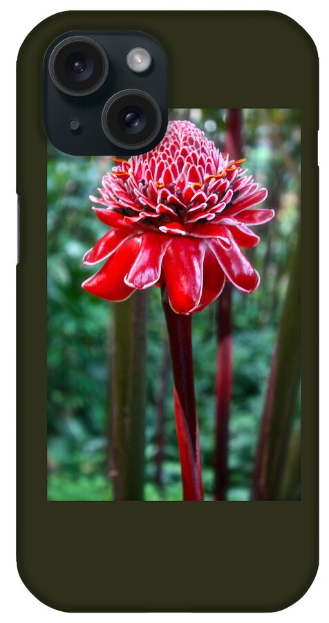Torch Ginger iPhone Case featuring the photograph Torch Ginger in Hawaii by Venetia Featherstone-Witty