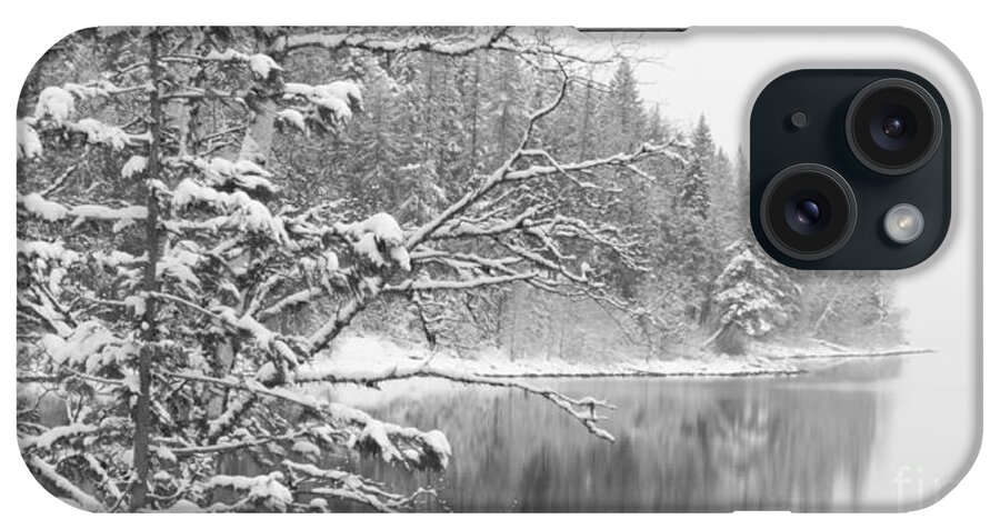 Winter iPhone Case featuring the photograph Touch of Winter by Diane Bohna
