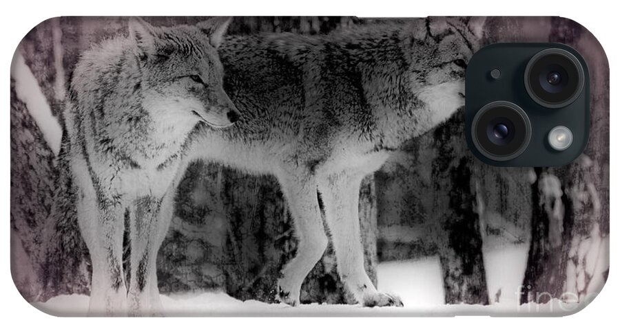 Coyote iPhone Case featuring the photograph Tranquility by Bianca Nadeau