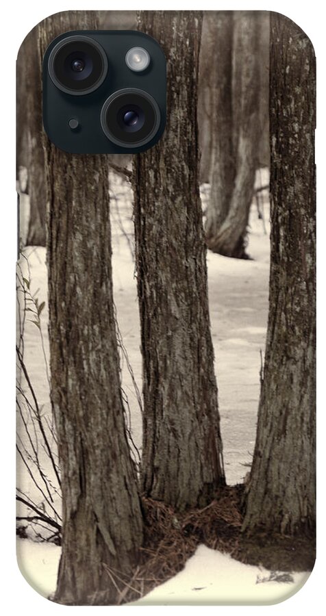 Trees iPhone Case featuring the photograph Tree Amigos by Beth Venner