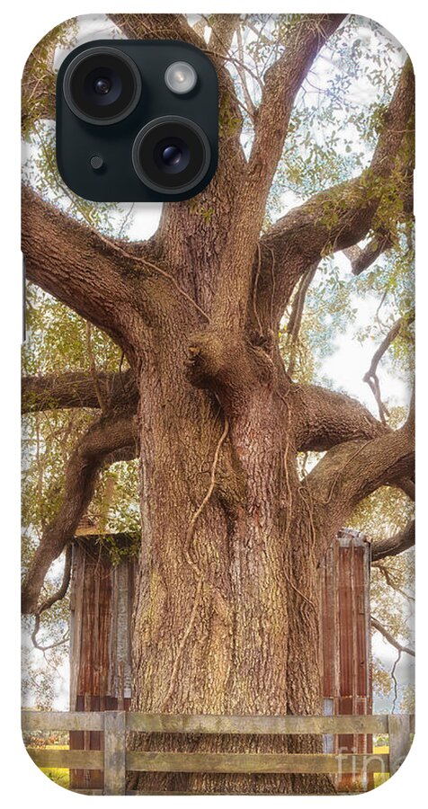 Agriculture iPhone Case featuring the photograph Tree Barn and Fence by Jo Ann Tomaselli