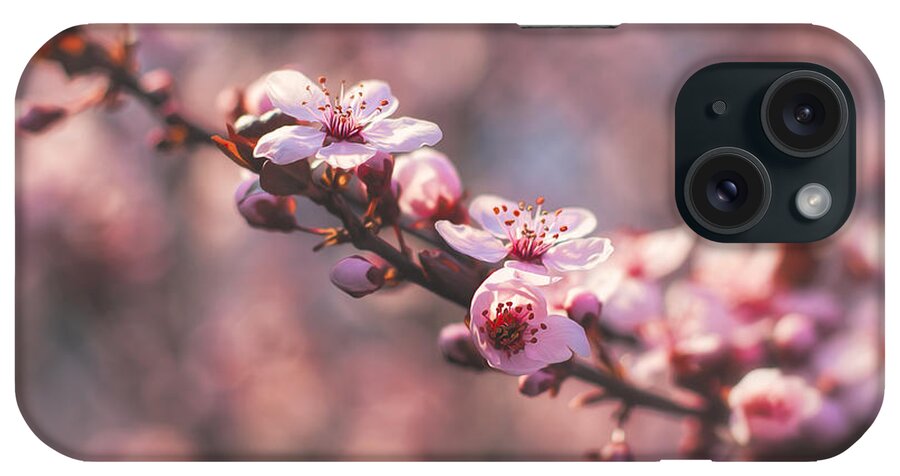 Spring iPhone Case featuring the photograph Tree Branch Bloom by Joshua Minso