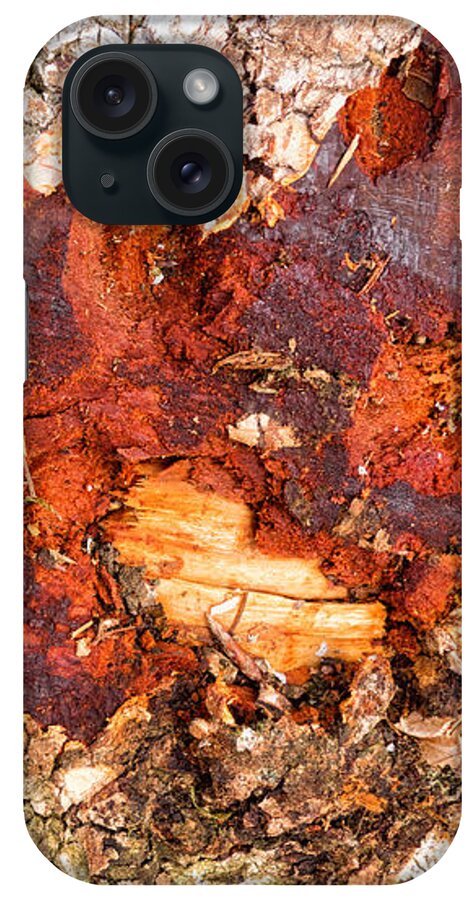 Wood iPhone Case featuring the photograph Tree closeup - wood texture by Matthias Hauser