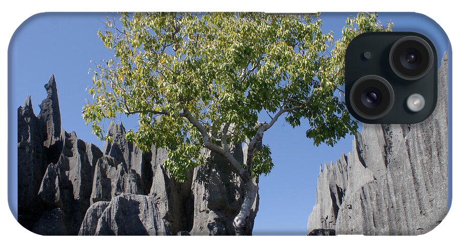 Prott iPhone Case featuring the photograph Tree in the Tsingy de Bemaraha Madagascar by Rudi Prott