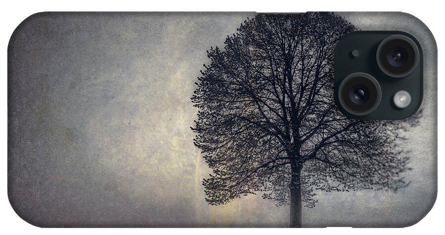 Tree iPhone Case featuring the photograph Tree of Life by Scott Norris