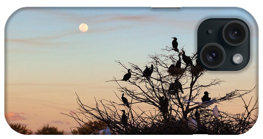 Tree Of Wildlife iPhone Case featuring the photograph Tree of Wildlife by Michelle Constantine