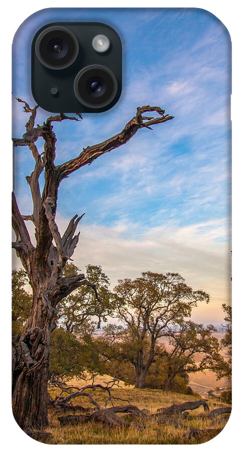 Landscape iPhone Case featuring the photograph Tree On A Ridge At Round Valley by Marc Crumpler