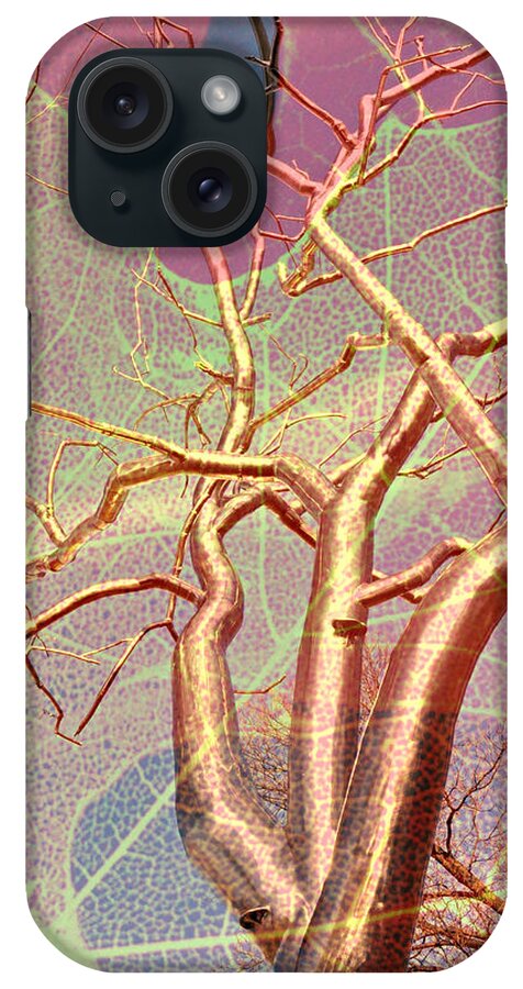 Tree iPhone Case featuring the photograph Tree On Leaf by Marty Koch