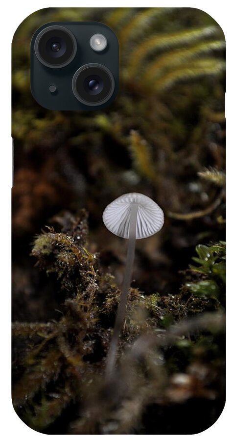 Tiny iPhone Case featuring the photograph Tree 'Shroom by Cathy Mahnke