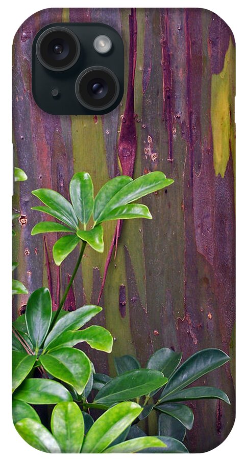 Plants iPhone Case featuring the photograph Tree with yellow lines by Jennifer Robin