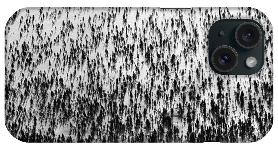 Treeline iPhone Case featuring the photograph Treeline Birches and Pines by Pekka Sammallahti