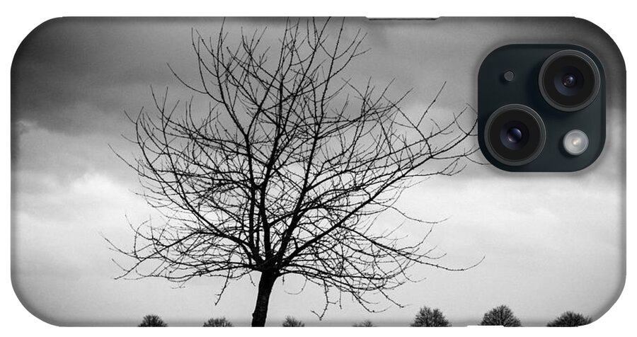 Tree iPhone Case featuring the photograph Trees black and white by Matthias Hauser