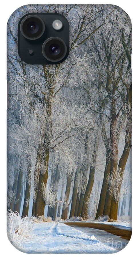 Trees iPhone Case featuring the photograph Trees in a snowy environment by Nick Biemans