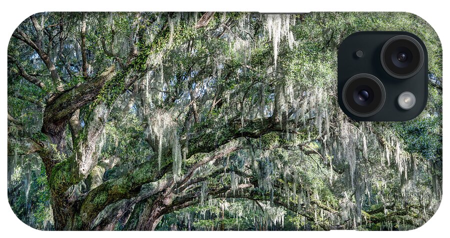 Magnolia Plantation iPhone Case featuring the photograph Trees of Magnolia by Walt Baker