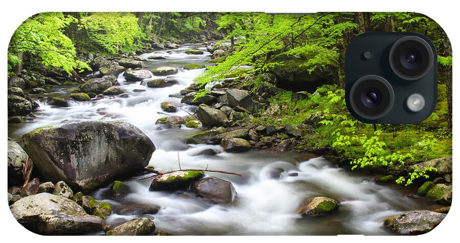 Great Smoky Mountain National Park iPhone Case featuring the photograph Tremont Spring - Great Smoky Mountains by Nancy Dunivin