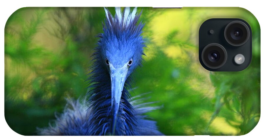 Landscapes iPhone Case featuring the photograph Tri-Colored Heron In Breeding Colors by John F Tsumas