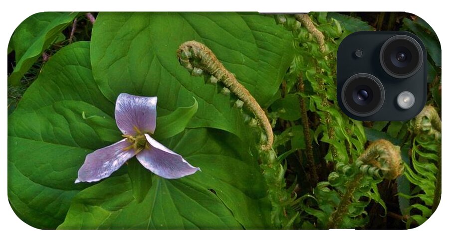 Flowers iPhone Case featuring the photograph Trillium and the Fiddlehead by Charles Lucas