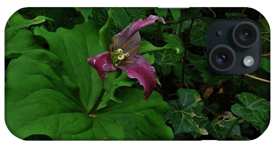 Flowers iPhone Case featuring the photograph Trillium and Veins by Charles Lucas