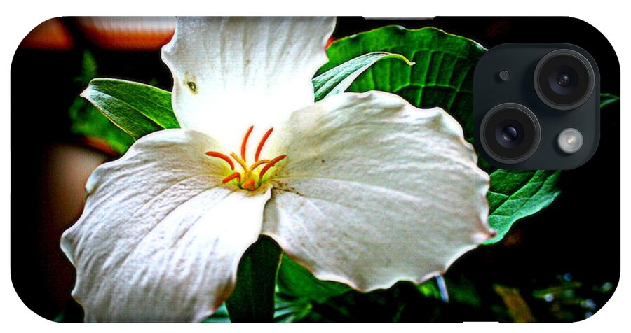 Trillium iPhone Case featuring the photograph Trillium Wildflower by Kay Novy