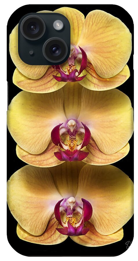 Flower iPhone Case featuring the photograph Trio of Orchids by Endre Balogh
