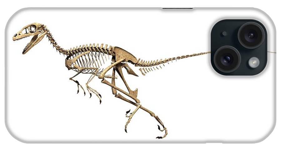Agile iPhone Case featuring the photograph Troodon Dinosaur Skeleton by Jose Antonio Peas