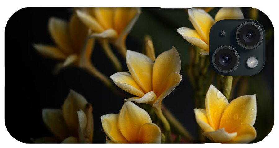 Flowers iPhone Case featuring the photograph Tropic Welcome by Miguel Winterpacht