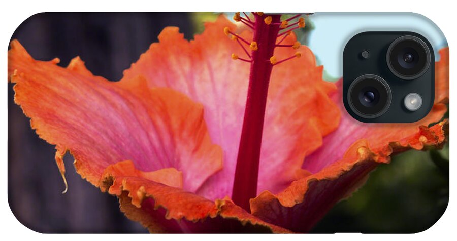 Flower Photography iPhone Case featuring the photograph Tropical Beauty by Patricia Griffin Brett